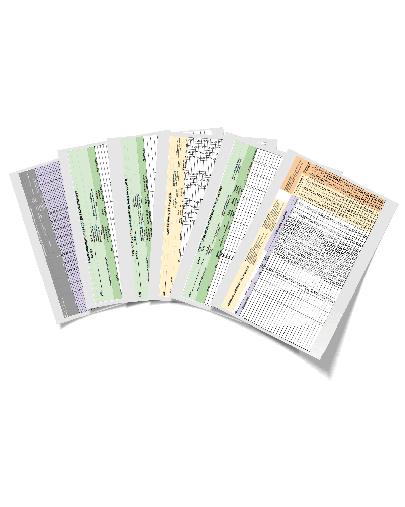 Planilhas de acompanhamento da Rota do ACS